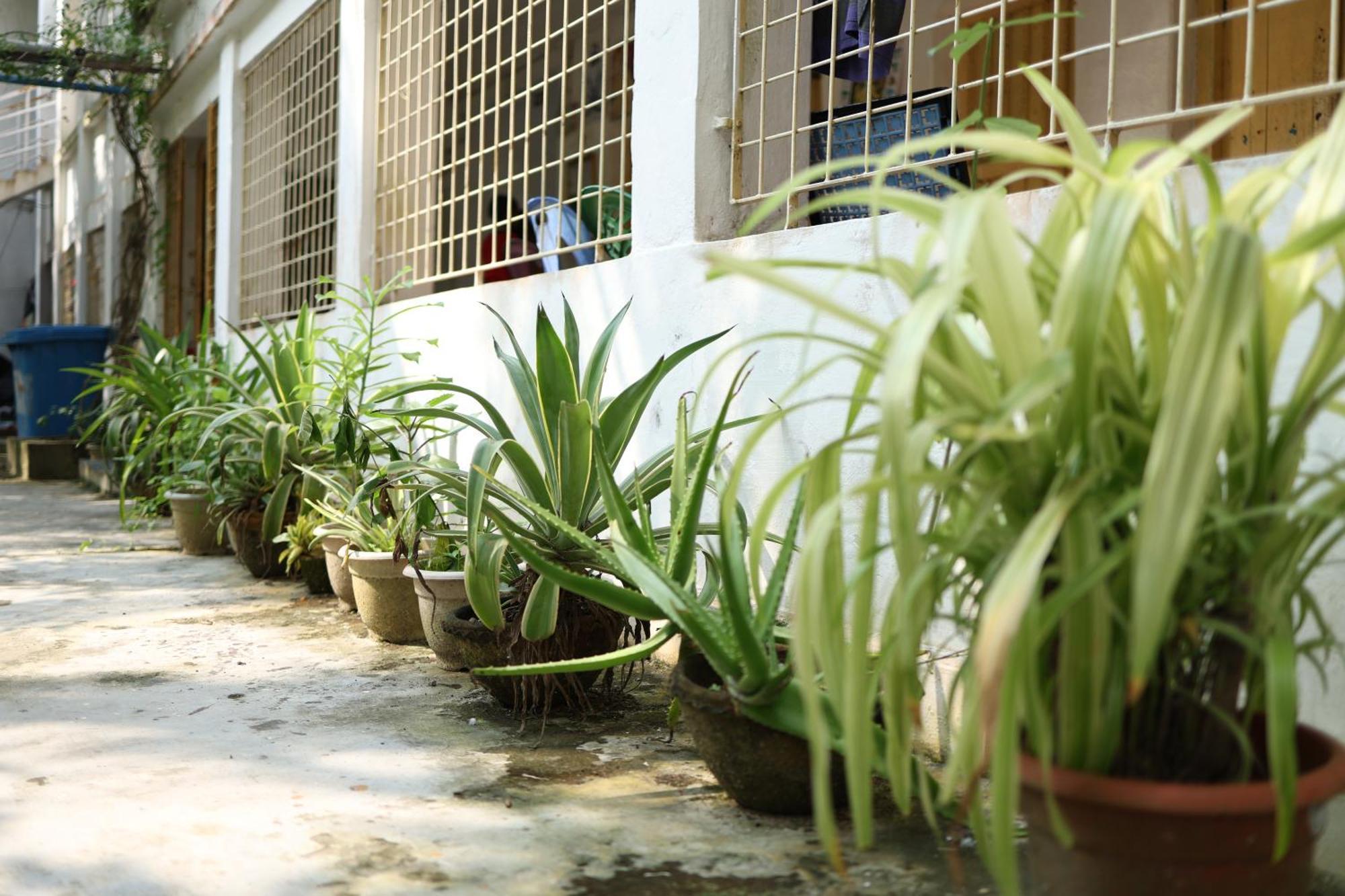Kriya Yoga Wellness Hotel Dhablat Exterior photo